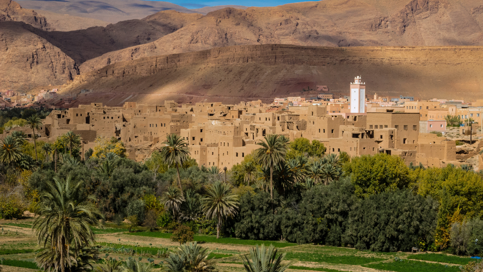 Auténtica Experiencia Culinaria Marroquí en un Víaje de 7 Días